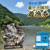 最上小国川では鮎釣りが解禁されています！