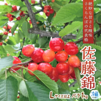 さくらんぼ予約受付開始のお知らせ
